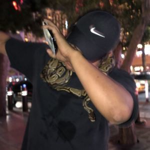 Meet your Posher, Jordon